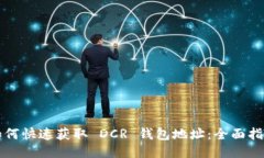 如何快速获取 DCR 钱包地址：全面指南